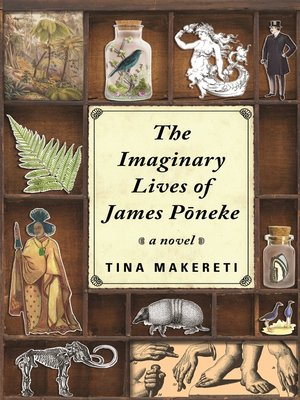 cover image of The Imaginary Lives of James Poneke